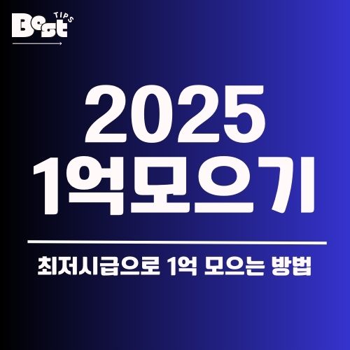 2025 1억 모으기
