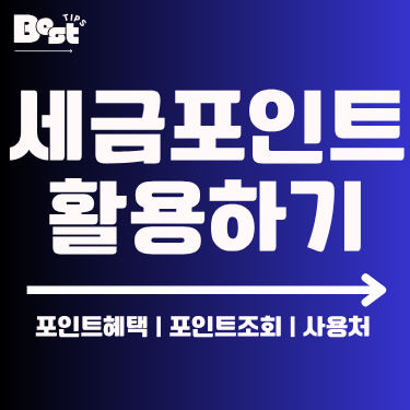 세금포인트 활용하기