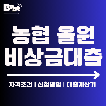 농협 올원 비상금대출