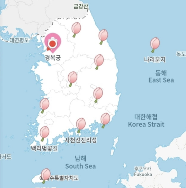 2026 벚꽃 지도 카카오맵 벚꽃 명소 개화 정보