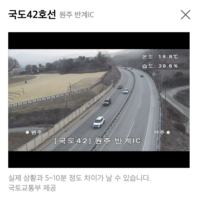 원주 반계리 은행나무 CCTV 실시간 영상